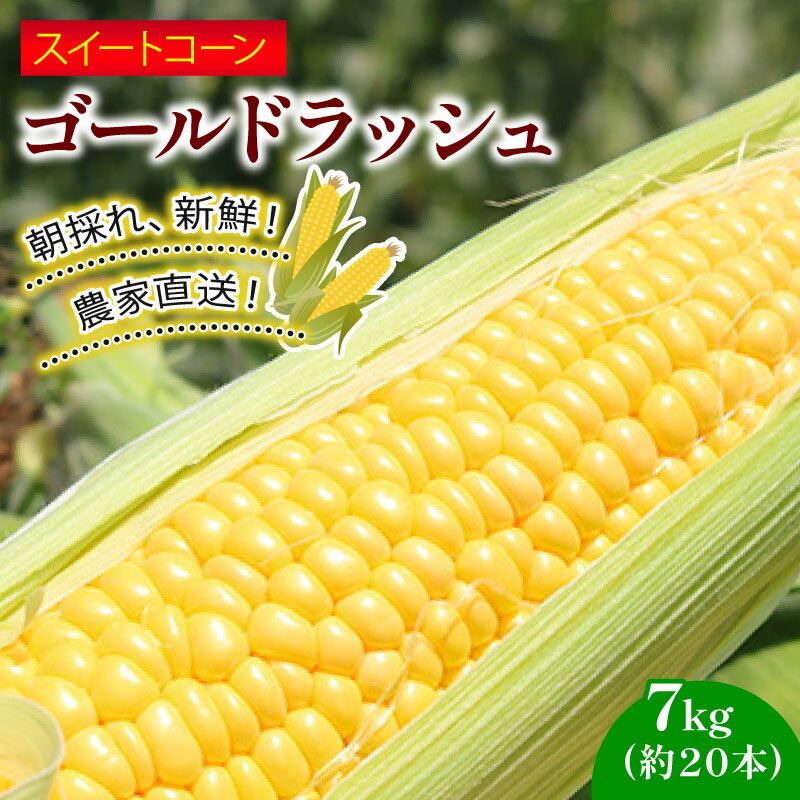 【ふるさと納税】 訳あり スイートコーン (ゴールドラッシュ) 7kg 約20本 | 2025年発送 6月 贈答用 ギフト用にも スイート コーン 野菜 トウモロコシ とうもろこし 厳選 人気 夏 やさい 旬 甘い 先行予約 産地直送 数量限定 冷蔵 期間限定 季節限定 おすすめ 高知県 南国市
