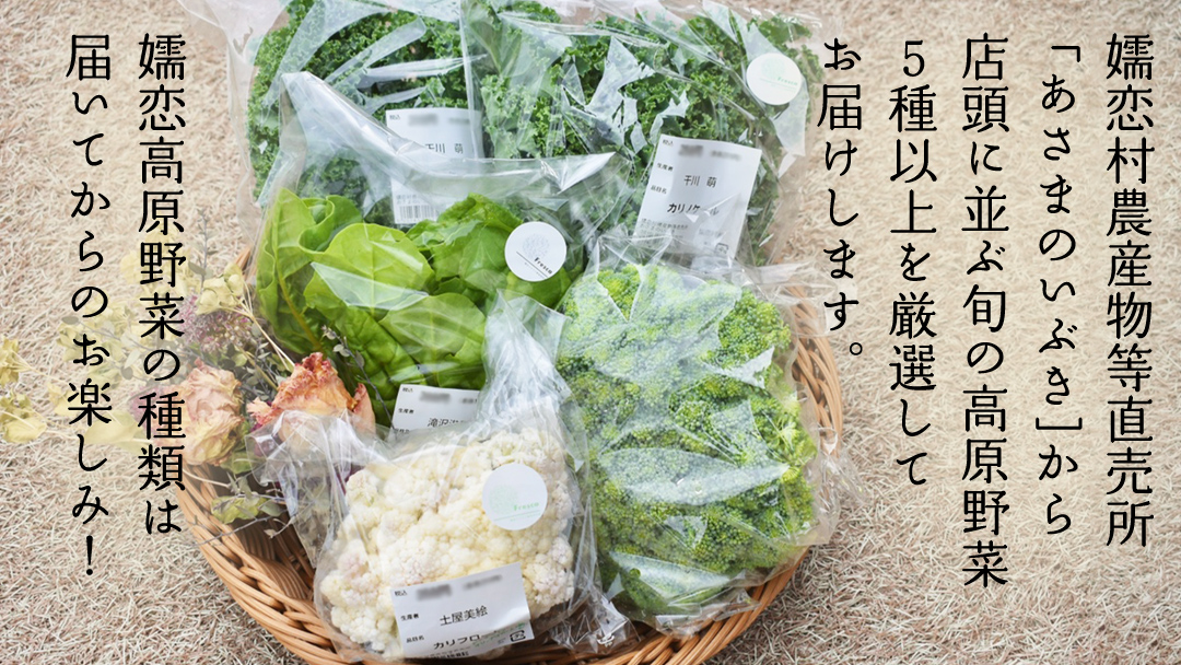 本日のおまかせ 高原野菜 の 詰合せ 5kg 5種以上 おまかせ 野菜 野菜セット 旬 5kg 産地直送 嬬恋 旬の野菜 [AF027tu]