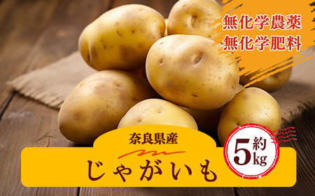 生命の農法（ 無化学農薬 ・ 無化学肥料栽培 ） じゃがいも （ 5kg ）｜ヤサイ 野菜 やさい 根菜 いも 芋 イモ ポテト ジャガイモ 奈良県 五條市 有機 農法 無 化学 農薬 バーベキュー 料理 保存 スープ サラダ 肉じゃが じゃがバター 人気 送料無料 青果 安心 安全 味噌汁 国産 新鮮 常備菜 アレンジ 旬 常温 産地直送 慈光会自然食品販売所 お取り寄せ