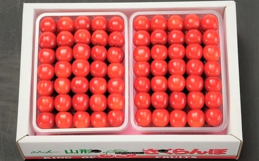 さくらんぼ（佐藤錦か紅秀峰）５００ｇ×２パック　手詰め　0020-2508