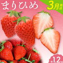 【ふるさと納税】【2025年3月発送】和歌山県産ブランドいちご「まりひめ」約300g×4パック 計1.2kg 日高町厳選館《2025年3月上旬-4月中旬頃出荷》和歌山県 日高町 いちご 苺 まりひめ フルーツ 果物 スイーツ 送料無料【配送不可地域あり】