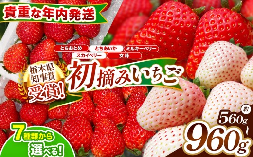 
                  【数量限定】 いちご 選べる 年内発送 初摘みいちご | 栃木県 矢板市 澳原いちご農園
                