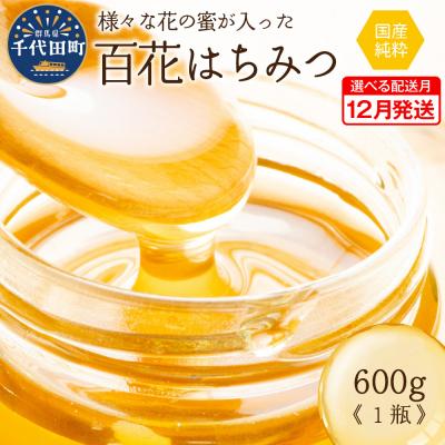 ふるさと納税 千代田町 《2025年12月発送》 はちみつ 千代田町の蜂蜜 600g 百花蜂蜜 ch011-001rr-12
