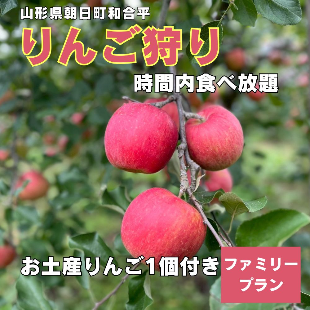【ふるさと納税】りんご狩り体験(ファミリープラン) りんご 収穫体験 6名様まで 60分 食べ放題 お土産付き 山形県 朝日町