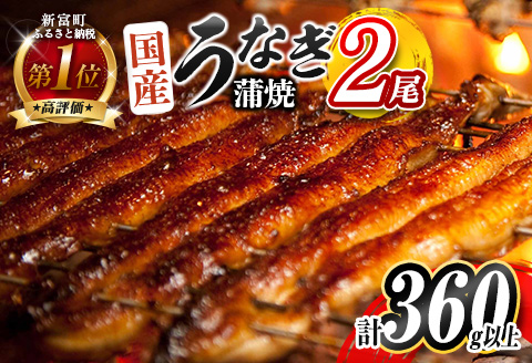 ＜2026年9月お届け＞うなぎ 鰻楽 国産 2尾 計360g以上 蒲焼 無頭 高評価 人気 おすすめ 冷凍 簡単調理 個包装 鰻 魚介 贈答品 ギフト 贈り物【B555-2609】 2026年9月お届