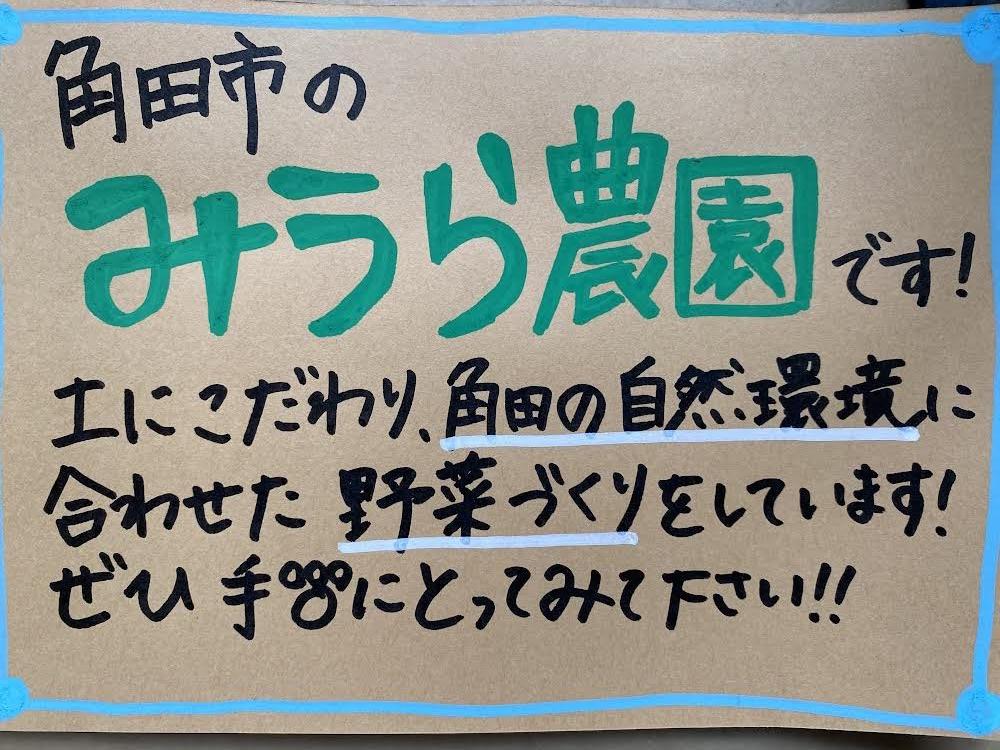 【2026年発送分先行予約】みうら農園 季節の野菜セット（夏野菜）【2026年6月中旬以降順次】