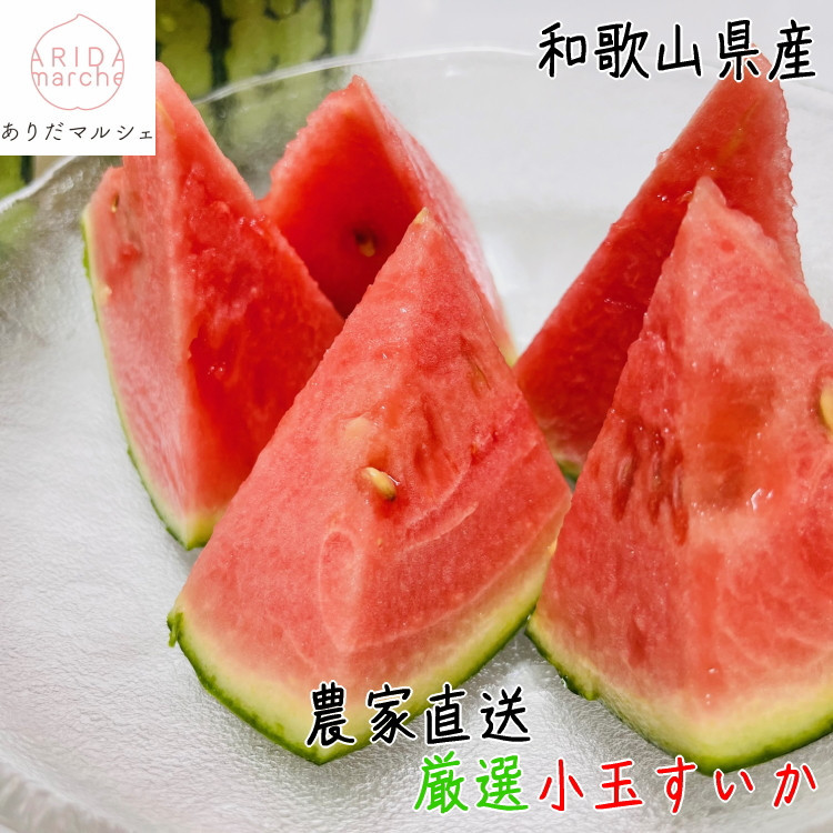 ［先行予約］厳選 小玉すいか Ｍサイズ／１玉入り［農家直送］［和歌山県産］［MS126］
