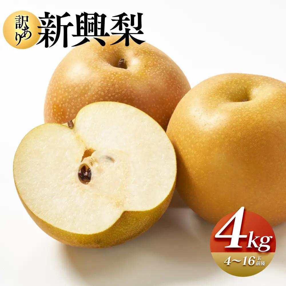  新興梨 4kg（4～16玉前後）先行予約 訳あり※2026年10月上旬～11月下旬頃に順次発送予定 梨