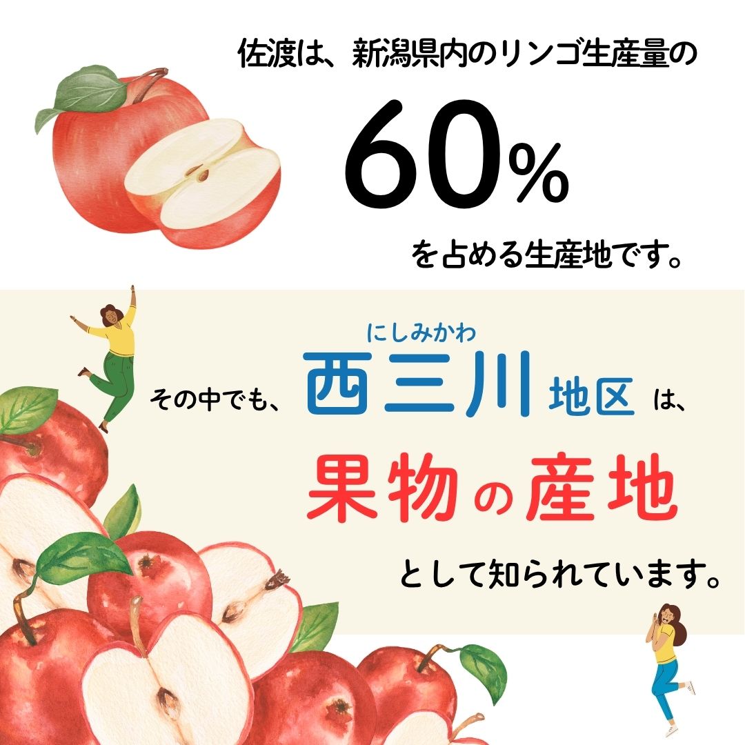 【10月上旬以降発送】佐渡 西三川・松丘農園のりんご「シナノスイート」12個から20個 計5kg196042-0006