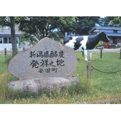 ふるさと納税 阿賀野市 ヤスダヨーグルト 新発見セット 化粧箱 直営ショップ限定品の詰合せ |  | 03