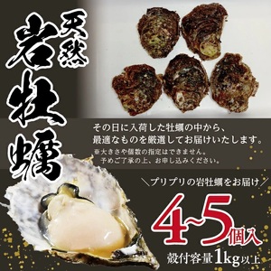 SA2969　天然岩牡蠣　計1kg以上(4～5個入)