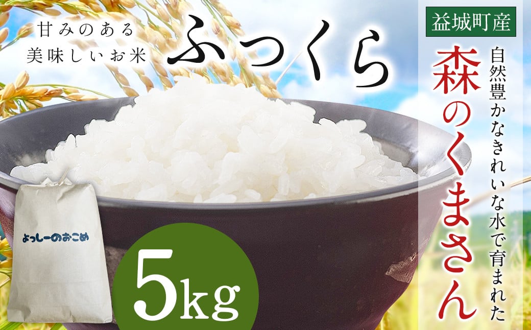 
            令和7年産 益城町 精米 森のくまさん 5kg 米 お米 【2025年11月上旬より順次発送予定】
          