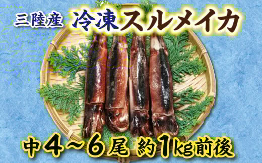 いか 冷凍スルメイカ 中4～6本 （約1kg前後） 鮮度そのまま！使い勝手抜群！ いか 刺身 イカ いかめし イカ焼き いか塩辛