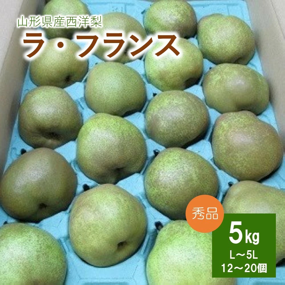 
                  西洋梨（ラフランス）５ｋｇ　0110-2605
                