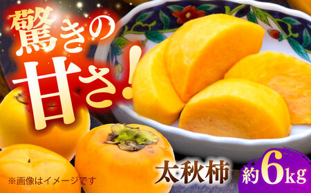 【先行予約】太秋柿 約6kg 柿 カキ フルーツ 果物 秋 【日本フルーツ株式会社】[ZFJ071]