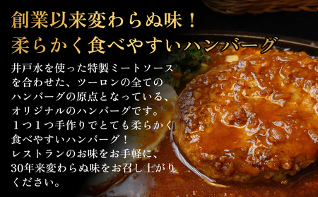 ソフトハンバーグ 20個 富山県 氷見市 ハンバーグ 湯煎 冷凍