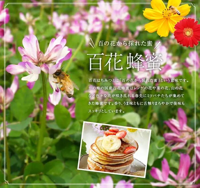 かの蜂 国産 百花 蜂蜜 1kg (500g×2本)  はちみつ 024-019