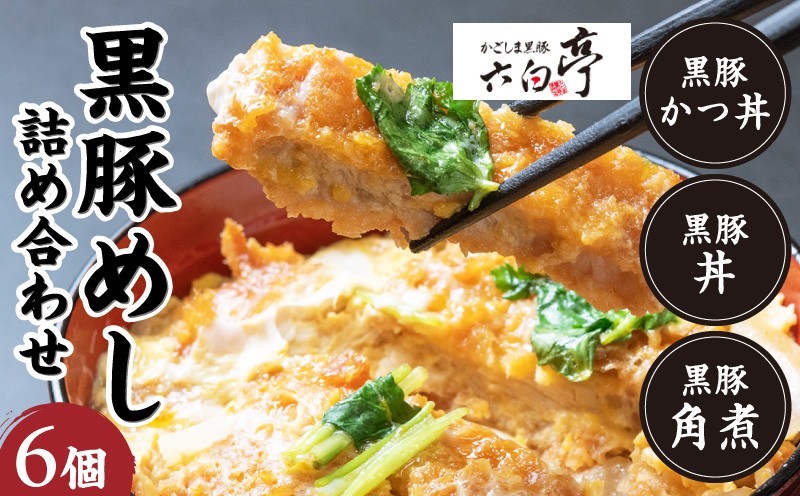 
【かごしま黒豚 六白亭】黒豚めし詰合せ　6個　K163-004
