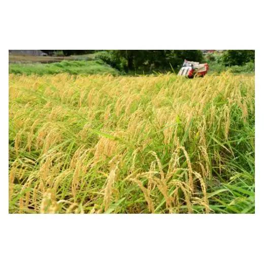 【 定期便3ヶ月連続 】 令和7年産 里山新見のめぐみ あきたこまち 10kg(5kg×2袋)