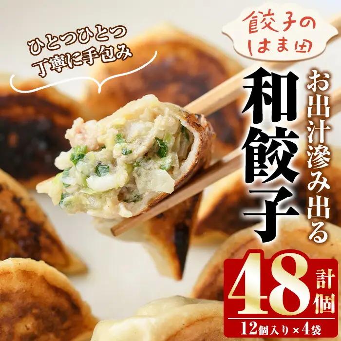 ＼テレビで紹介されました！／ニラ餃子(計48個・12個入り×4袋) 餃子 生餃子 ギョウザ ぎょうざ ギョーザ セット 詰め合わせ おかず お惣菜 冷凍 和風 水餃子【餃子のはま田】akn096-01