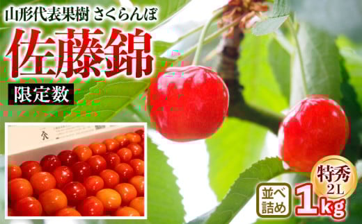 山形代表果樹 佐藤錦 特秀 2L 並べ詰め 1kg 【限定数】 FY25-114