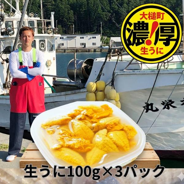 三陸産生うに100g×3パック【令和8年6月発送】【配送日指定不可】【35】初栄丸