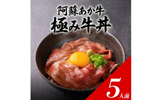 【選べる内容量】極みあか牛丼 5人前 特製タレ付き 牛肉 あか牛丼 肉 簡単 冷凍 赤牛 あかうし くまもと 褐色和牛 和牛 国産 赤身 贅沢 ごちそう おうちご飯 豪華 お取り寄せ ご当地 名産 特産 家庭用 贈答用 ギフト 手土産 贈り物 熊本県 阿蘇市