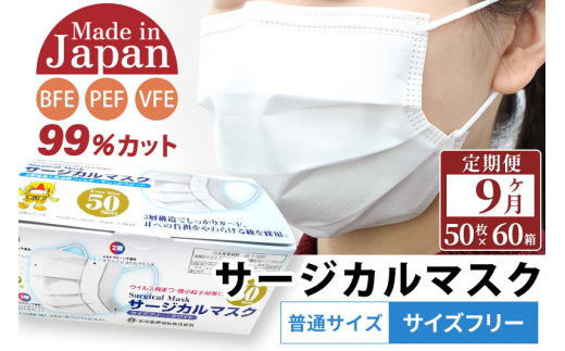 
《定期便9ヶ月》国内製造 高性能サージカルマスク 普通サイズ 50枚入り×60箱 (合計3,000枚)×9回 9か月 9ヵ月 9カ月 9ケ月
