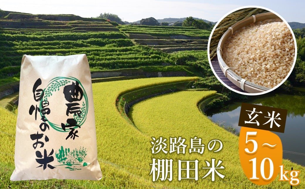 
            《玄米》淡路島の棚田米 ５kg・１０kg
          