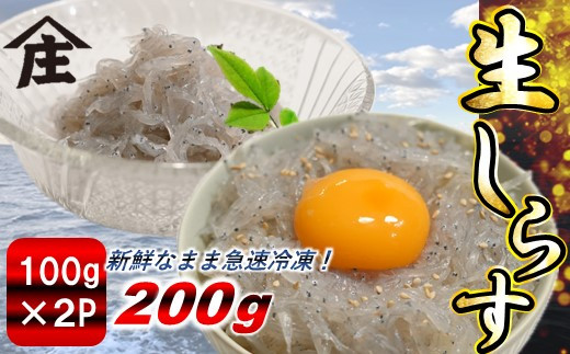 生しらす 200g ( 100g × 2袋 ) 冷凍 刺身 真空パック ごはん 丼 サラダ 魚 料理 愛知県 南知多町 師崎 シラス しらす 小魚 魚貝 魚貝類 しらす シラス 海鮮 しらす丼 シラス丼 ふるさと納税しらすしらす おすすめ 大人気 南知多産しらす愛知県産しらす シラス しらす しらすごはん shirasu sirasu SIRASU 人気シラス