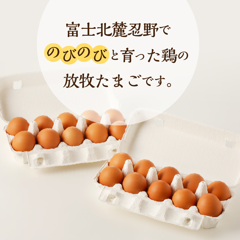 【3ヶ月定期便】忍野の平飼い放牧卵30個（25個＋割れ保証5個）