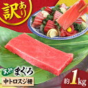 【ふるさと納税】【訳あり】天然 本まぐろ 中トロ スジ 約1kg【横須賀商工会議所 おもてなしギフト事務局（本まぐろ直売所）】天然まぐろ まぐろ マグロ 鮪 本マグロ 訳アリ 中とろ とろ トロ 大容量 たっぷり 冷凍 規格外 [AKAK016]