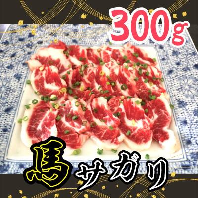 ふるさと納税 八代市 馬のサガリ　300g(八代市)