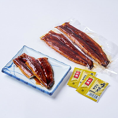 【ふるさと納税】うなぎ長蒲焼約570g(約190g×3)【配送不可地域：離島】【1743609】