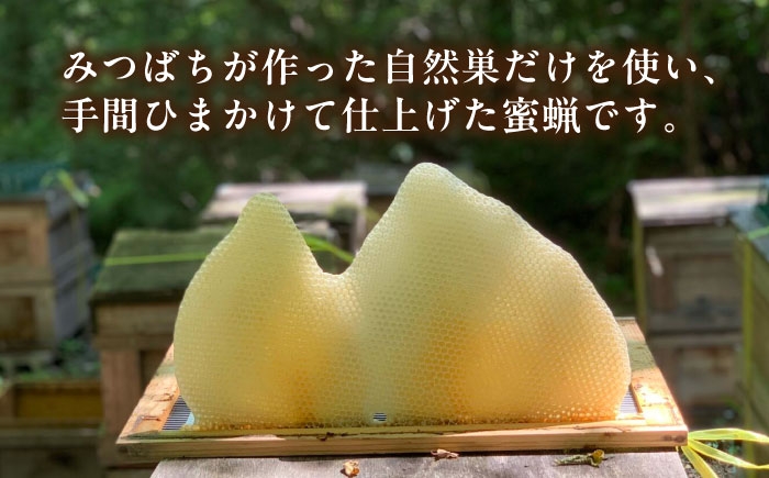 恵那 蜜蝋セット (Sランク蜜蝋500g:100g5枚) 恵那市 / はち工房こうけつ [AUDF023]