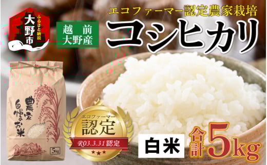【令和7年産】【有機栽培】エコファーマー認定農家栽培 コシヒカリ（白米）5kg