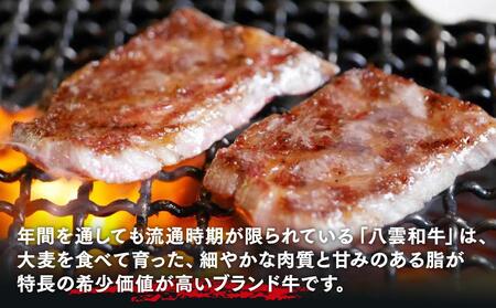 八雲和牛 焼肉セットA   | 牛肉　牛肉　牛肉　牛肉　牛肉　焼肉　焼肉　焼肉　焼肉　焼肉　【 肉 お肉 にく 牛 牛肉 肉セット 焼肉セット 焼肉 焼き肉 食品 グルメ お取り寄せ お取り寄せグルメ