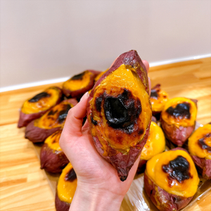 【大人気愛媛のケーキ屋さんが作る】 スイートポテト | スイートポテト おいも お芋 スイーツ お菓子 おかし 冷蔵 おやつ 手作り 贈り物 子ども 人気 誕生日 贈答 お祝い おすすめ プレゼント 