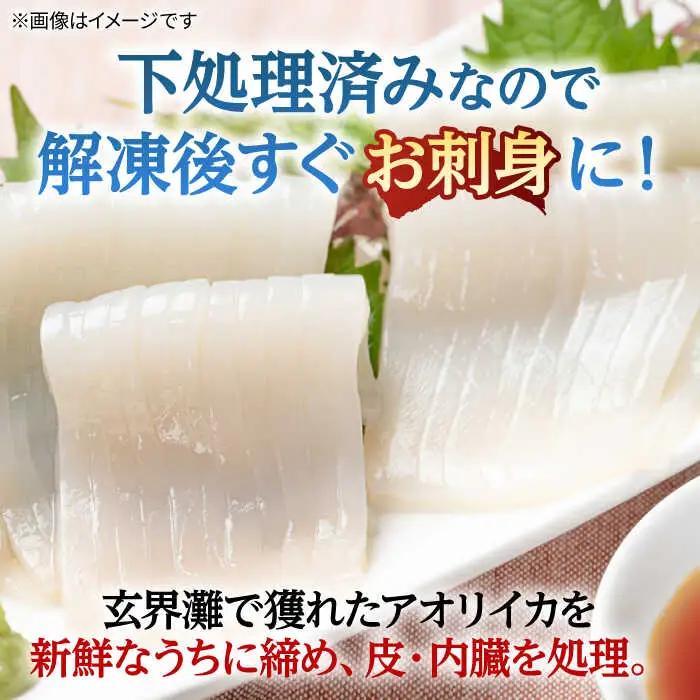 アオリイカ（水イカ）1,500g前後 [JCG019] イカ 刺身