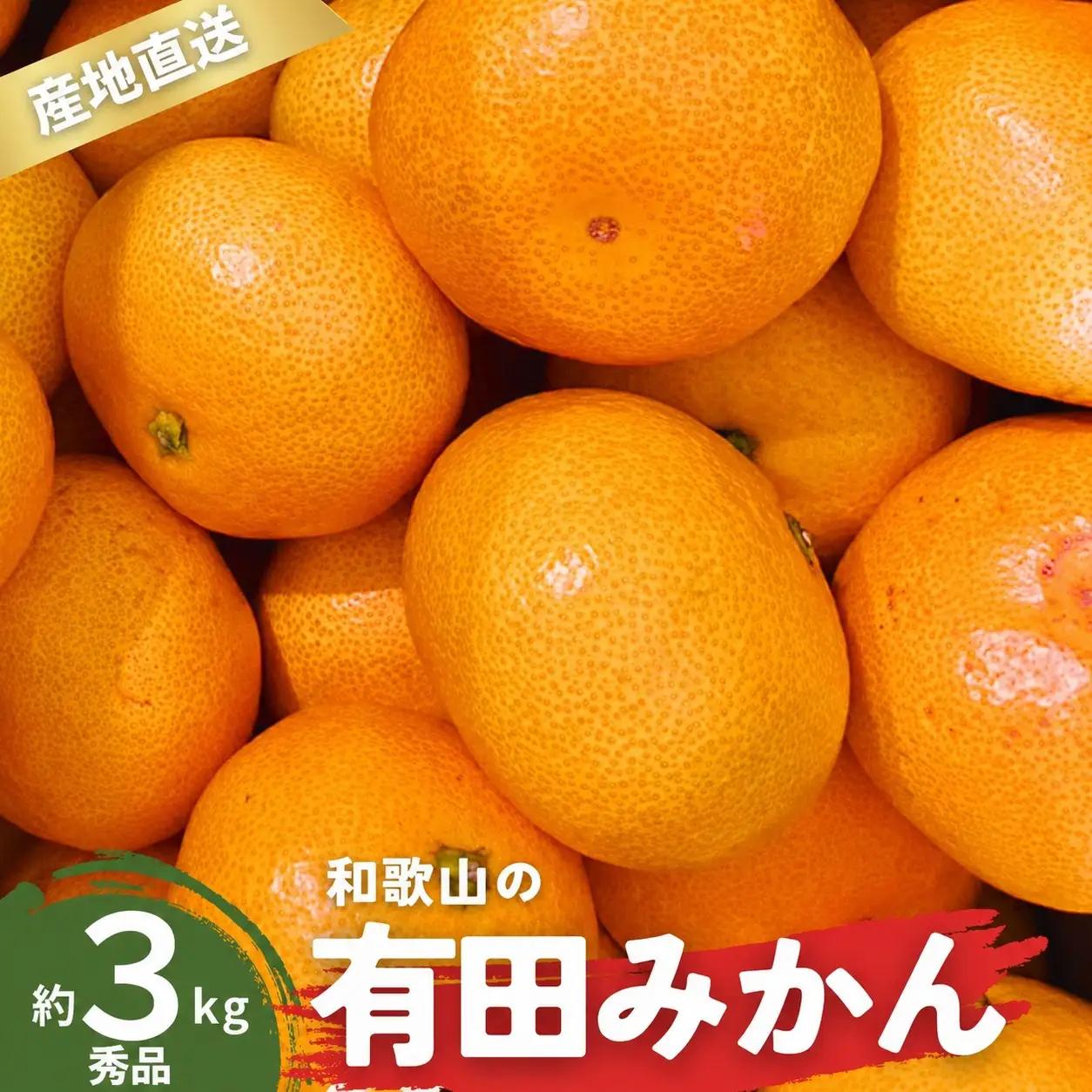 【1月発送】品 有田みかん 和歌山県産 S～Lサイズ 大きさお任せ 3kg / みかん フルーツ 果物 くだもの 有田みかん 蜜柑 柑橘【ktn001A-1】