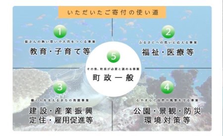 高知県大月町への応援寄付金【返礼品なし】