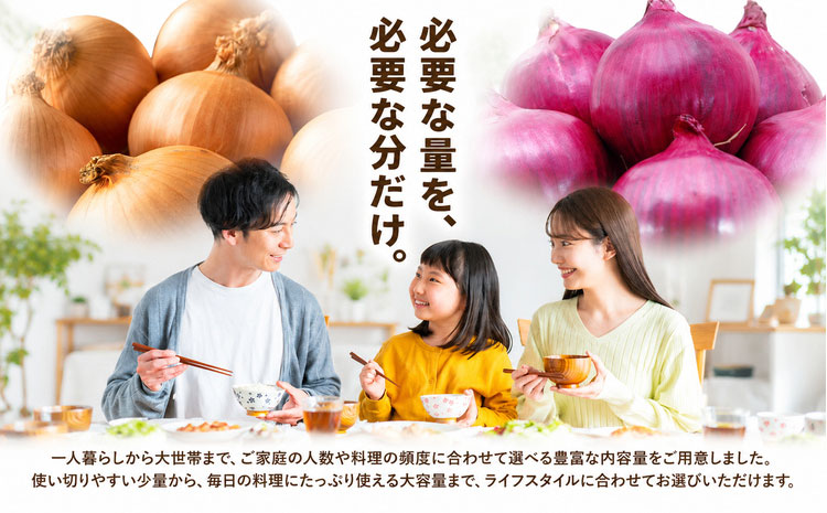 野菜 紫玉ねぎ 20kg B&T TRADING株式会社《30日以内に出荷予定(土日祝除く)》北海道 日高町 玉ねぎ 紫玉ねぎ 赤玉ねぎ 北海道産 国産 野菜 大容量 家庭用 常備野菜 サラダ カレー