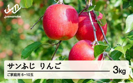 先行予約  ご家庭用 2025年 令和7年産 山形県産 ご家庭用 サンふじ りんご 3kg(6~10玉) yf-risfk3 ※沖縄・離島への配送不可