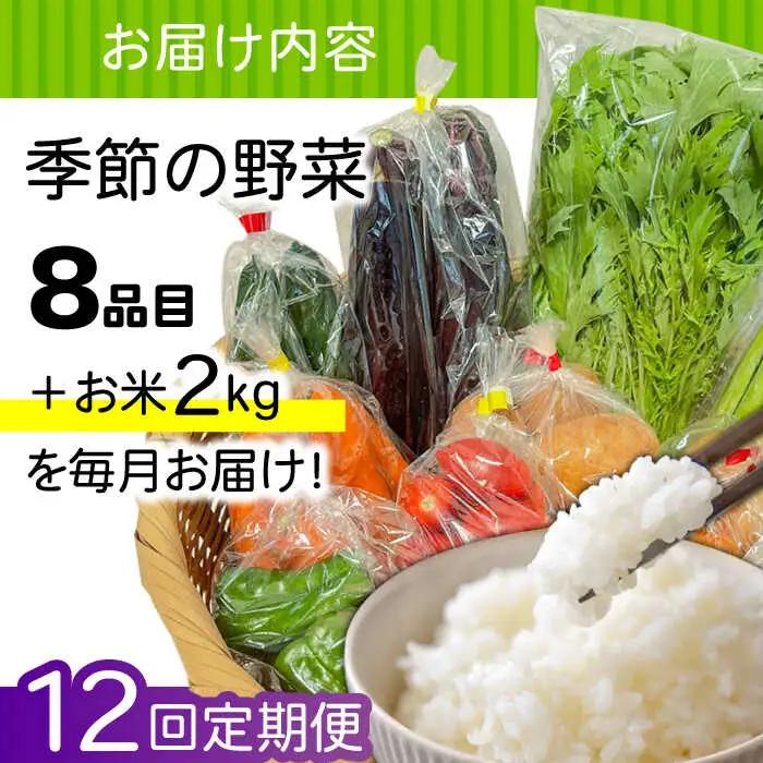 【12回定期便】野菜定期便 お米と季節のやさい 8品目 野菜 定期便 / ながさき南部 [SBW015]