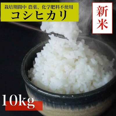 
                  ＜令和8年産＞コシヒカリ白米10kg《栽培期間中農薬・化学肥料不使用》徳島県阿南市産【1655400】
                