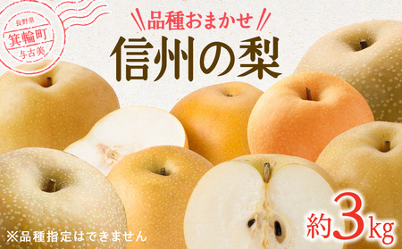 【2025年】信州の梨 品種おまかせ 約3kg フルーツ 果物 デザート なし ナシ 産地直送 長野県 信州産
