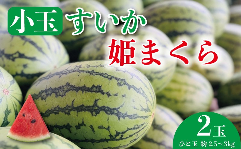 
                  【 先行予約 】 チョイス限定 すいか 小玉スイカ ２玉 姫まくら 期間限定 スイカ 西瓜 季節の果物 果物 くだもの フルーツ 夏フルーツ 旬 産地直送 国産 人気 甘い ギフト 数量限定 贈り物 贈答 お中元 ご褒美 お取り寄せ プレゼント 誕生日 お礼 デザート グルメ おすすめ 【7月中旬頃～8月上旬頃まで順次発送】 ふるさと納税 送料無料 千葉県 銚子市 彦兵衛農園
                
