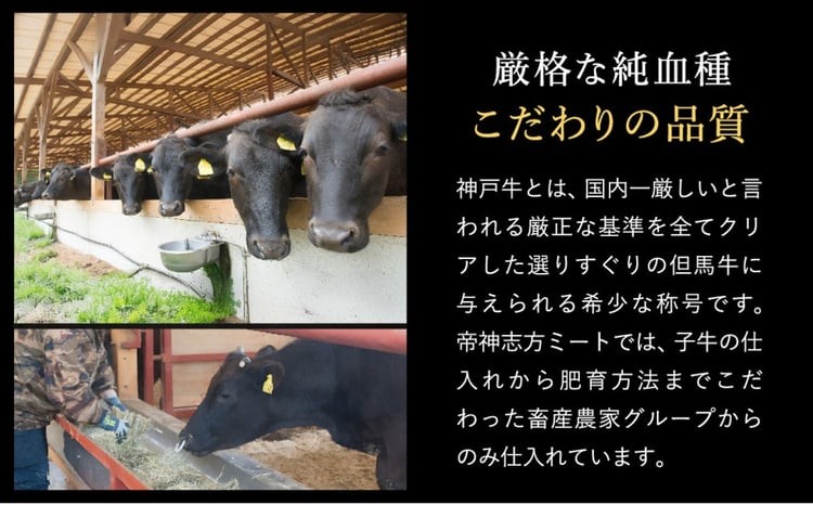 神戸牛 生ハンバーグ （100g×12個） 【帝神志方ミート】