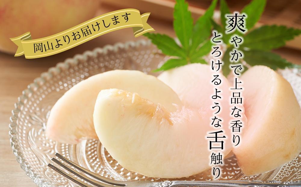 岡山県産 桃 岡山白桃 2024年 先行予約 ロイヤル 3玉×約200g 計600g Lサイズ 早生種・中生種 もも モモ フルーツ 果物 ギフト