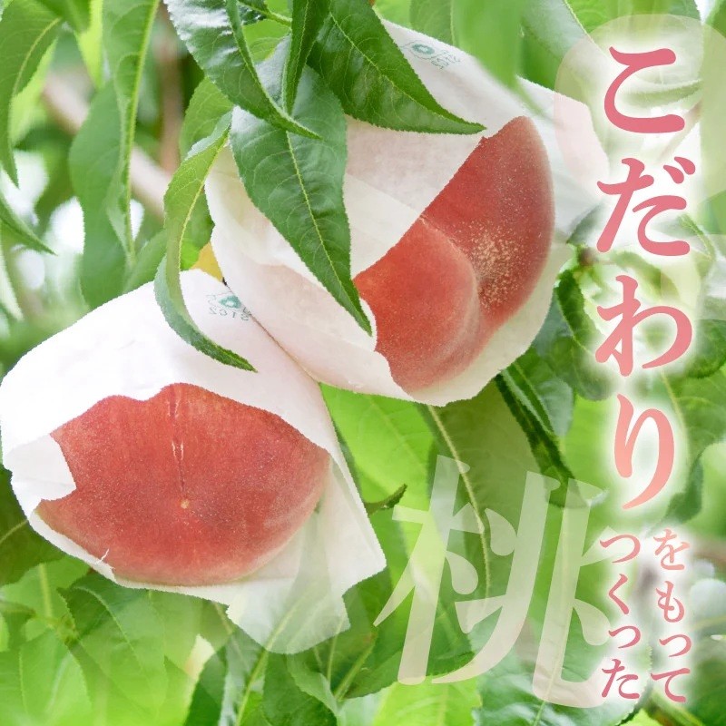 ※化粧箱のデザインは変更になることがあります。画像は2022年度までのデザインです。